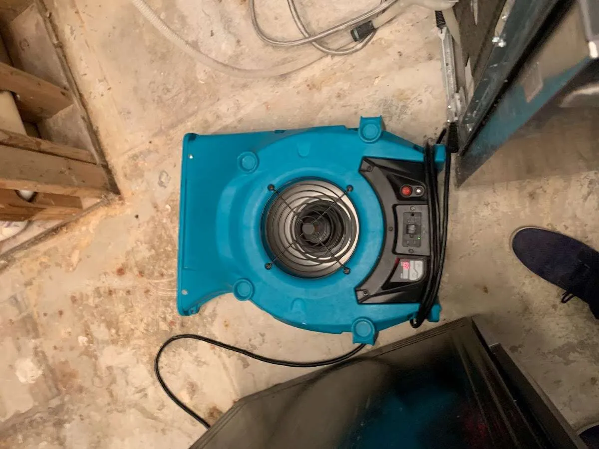 Air mover drying equipment for Mold Remediation & Removal in Port Allen